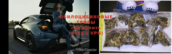 мяу мяу мука Армянск