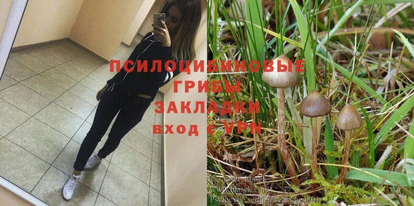 мяу мяу мука Армянск