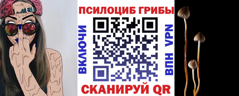 Псилоцибиновые грибы Psilocybine cubensis  omg   даркнет состав  Починок 